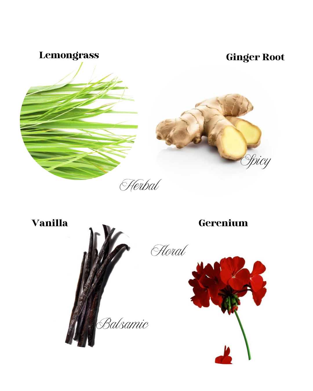 Lemongrass and Ginger Root Soy & Coconut Candle 200G - Evadne Co.